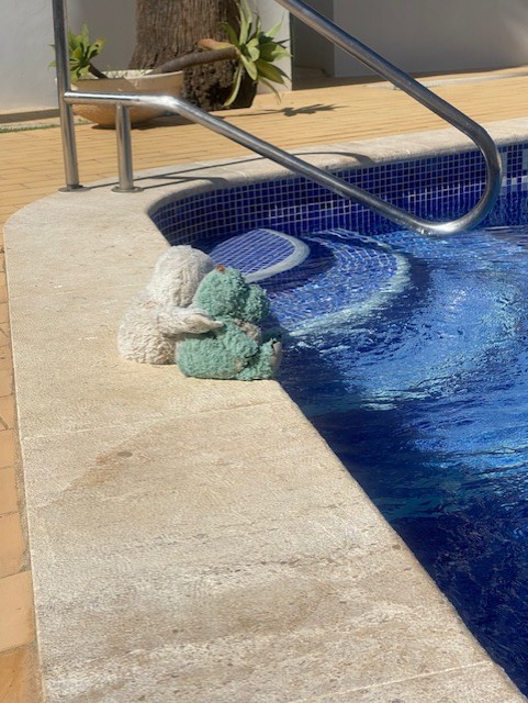 Holiday Pool
